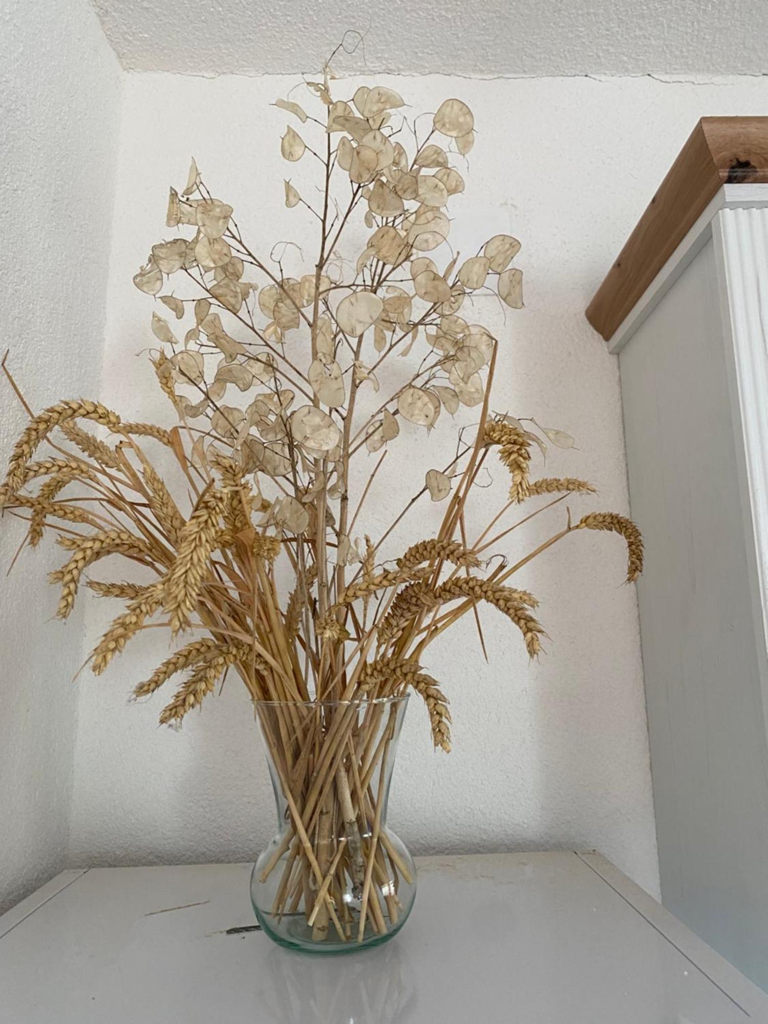 Apartman Kremen Kuterevo Exteriör bild